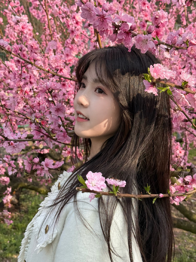 蜘蛛池与网站架构优化的配合