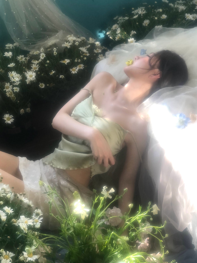 蜘蛛池对SEO黑帽技术的风险分析