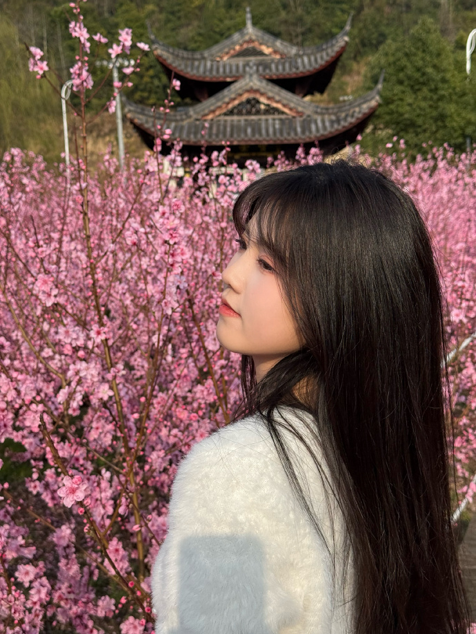 蜘蛛池在小程序内容优化中的使用方式