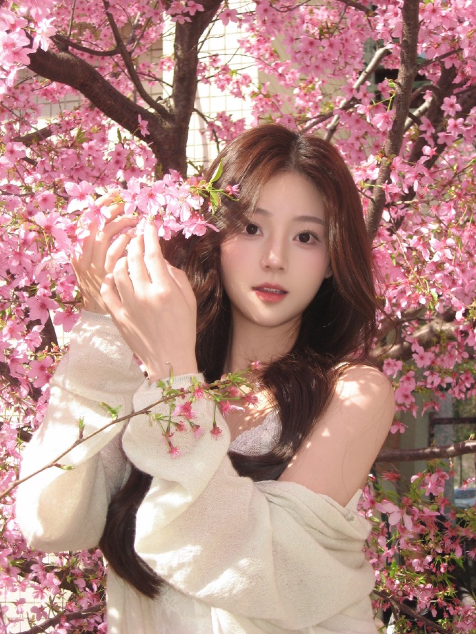 如何用蜘蛛池推送页面结构变更？