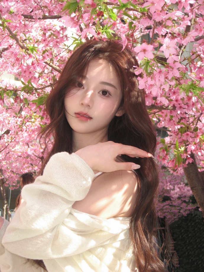 蜘蛛池能否提升长尾词页面的抓取频率