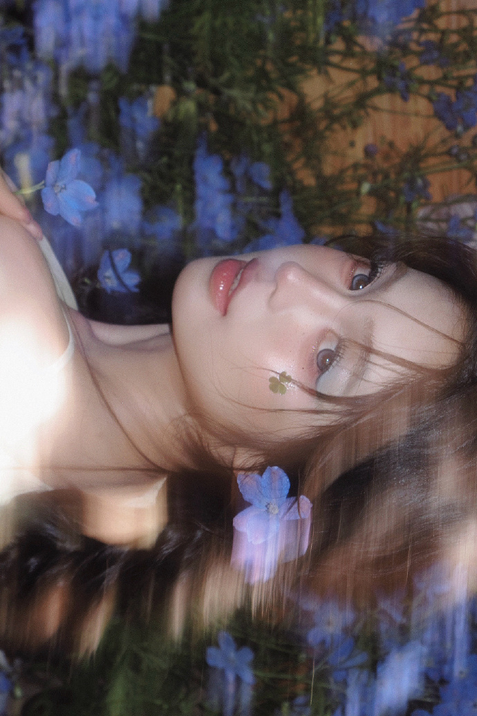 蜘蛛池在自动化站群系统中的角色