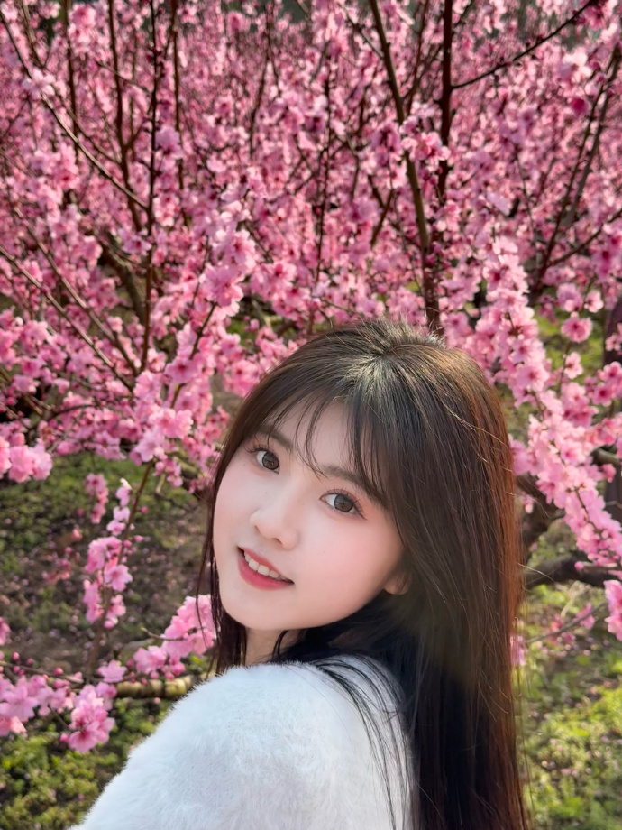 蜘蛛池如何配合内链策略？