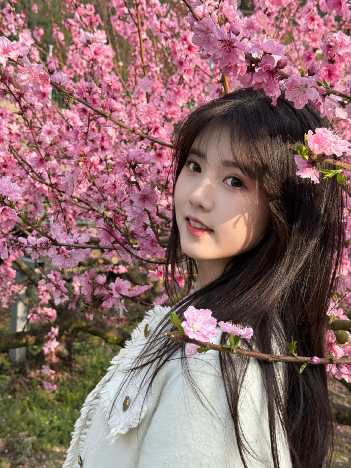 蜘蛛池的分布式架构实现方案