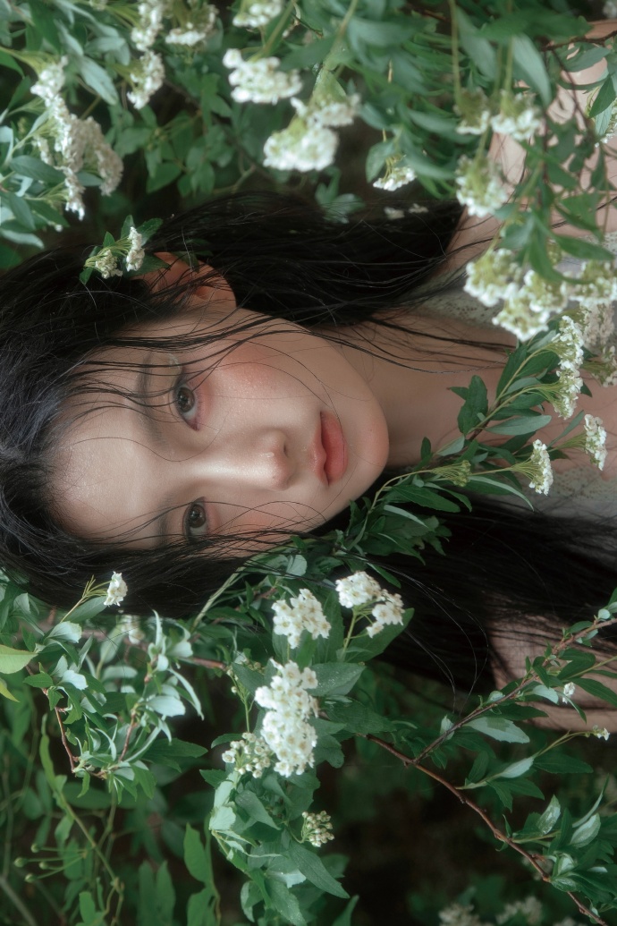 蜘蛛池与网站架构优化的配合