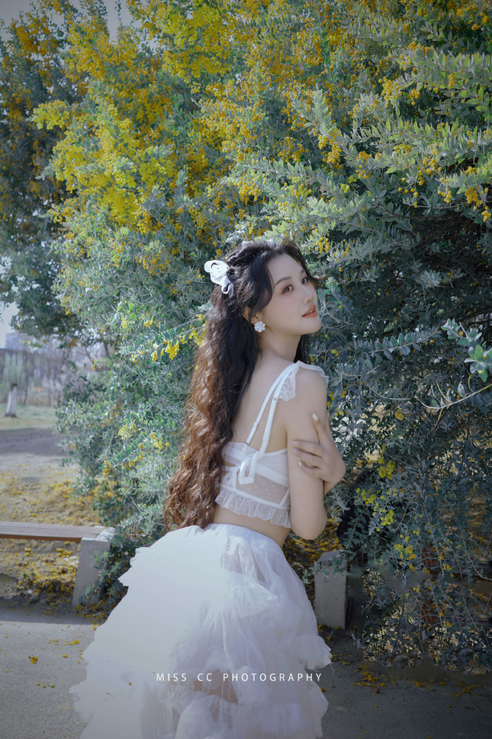 蜘蛛池和Schema结构化数据的配合