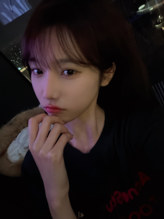 蜘蛛池在泛解析中的实战价值