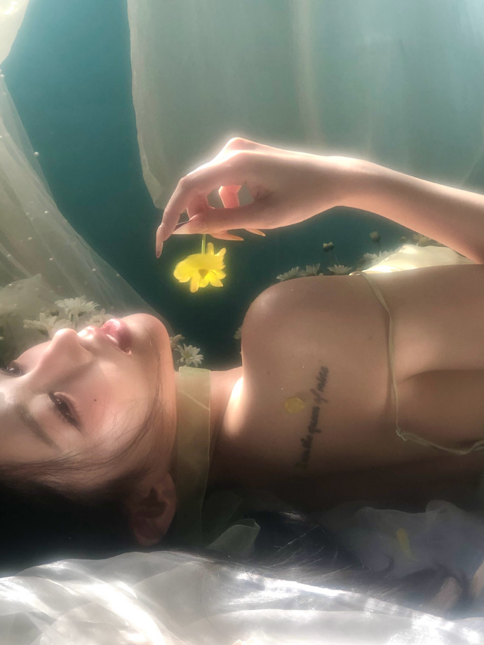 蜘蛛池对SEO黑帽技术的风险分析