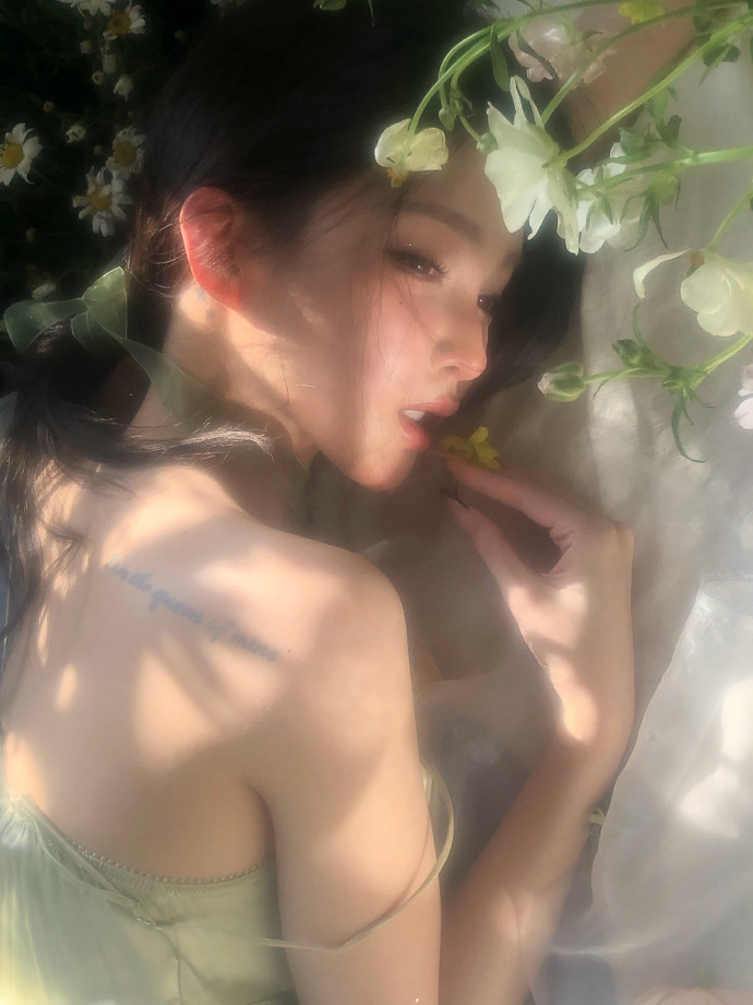 蜘蛛池在小程序内容优化中的使用方式