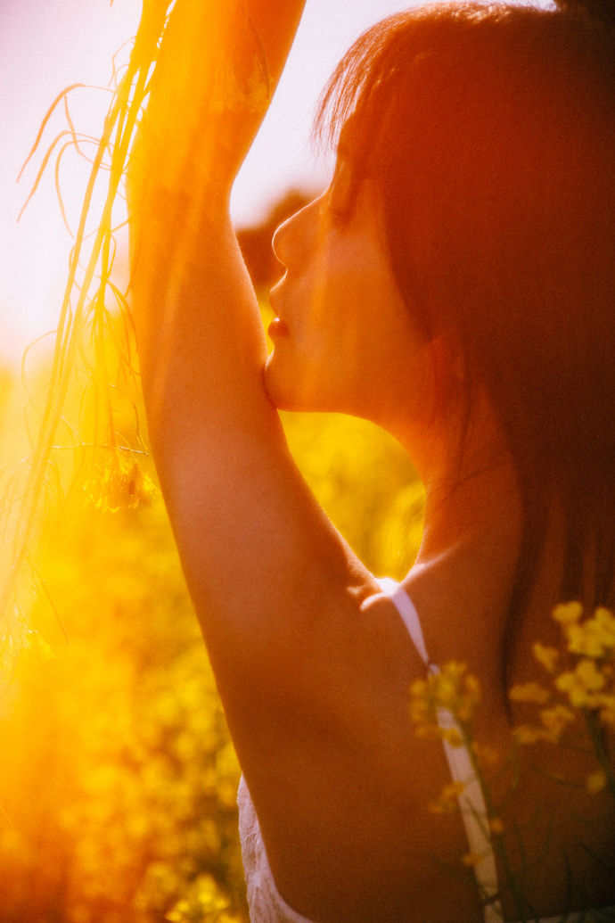 蜘蛛池能否提升收录质量？